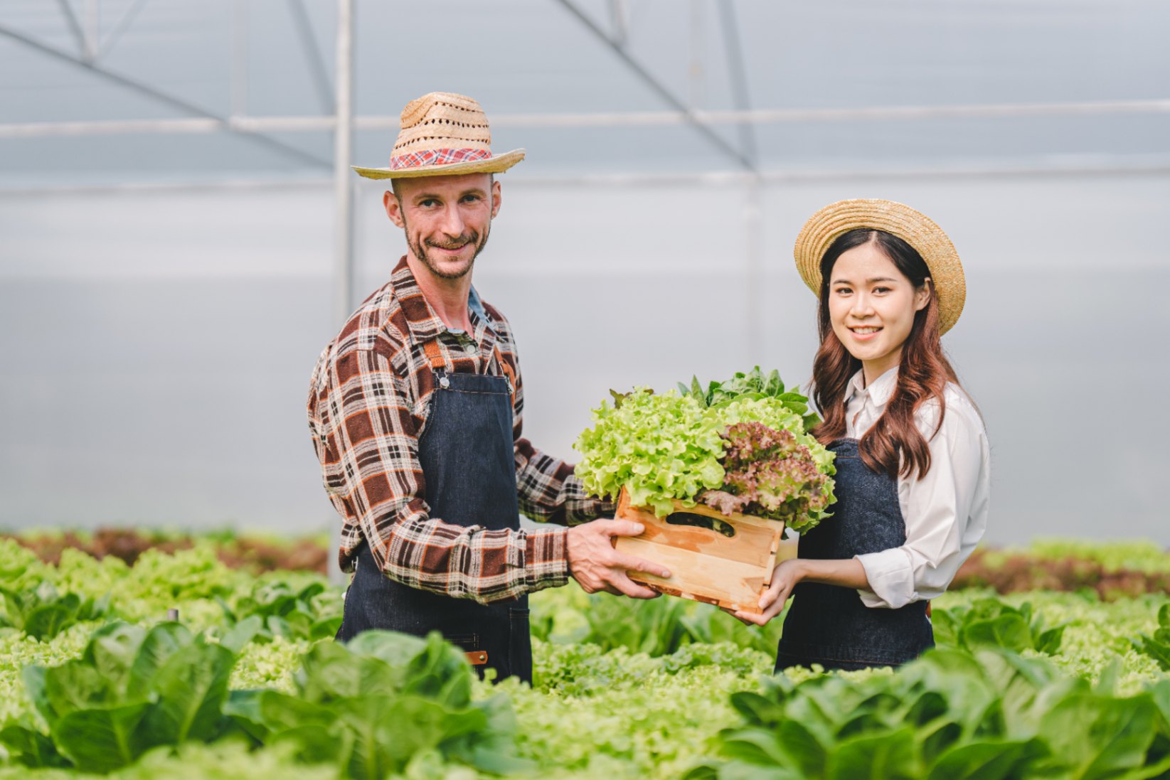 The Benefits of Eating Organic Vegetables Daily
