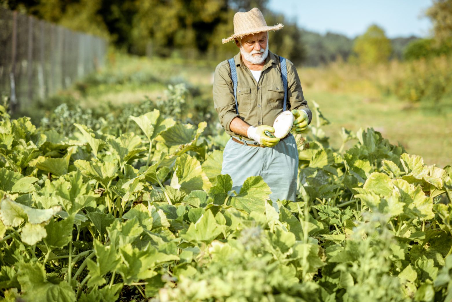 Why Sustainable Farming Matters for Our Future